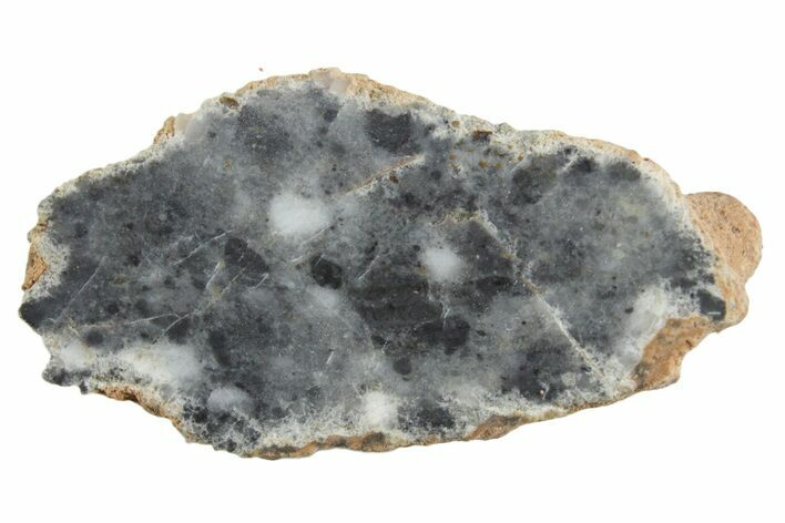 Lunar Meteorite ( g) Section - Bechar #348198
